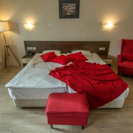 Banderitsa Studio Bansko 1 * Bansko